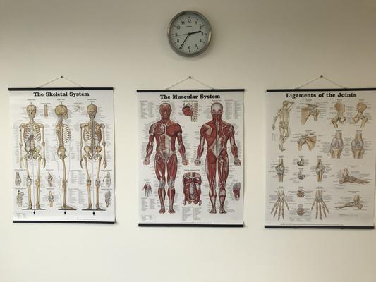 Body charts