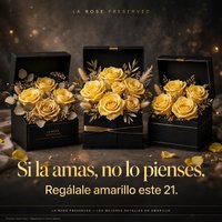 Imagem de Rosas Preservadas Ecuador La Rose Preserved