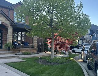 Image of A.L Landscaping