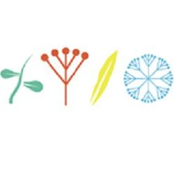 Image of Meadows Dental Care