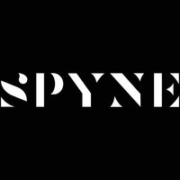 Image of SPYNE Chiropractic