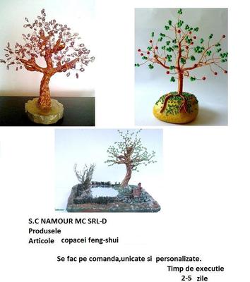 Imagine a S.C Namour MC SRL-D