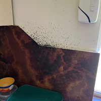 Image of Burkeys Pest Control Townsville & Surrounds