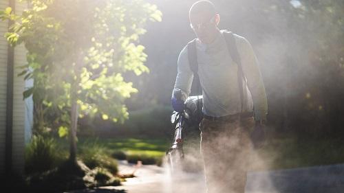 Image of Greenix Pest Control