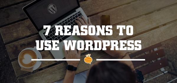 wordpress website maintenance