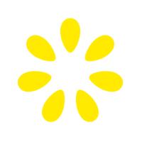 Image of Lemonade