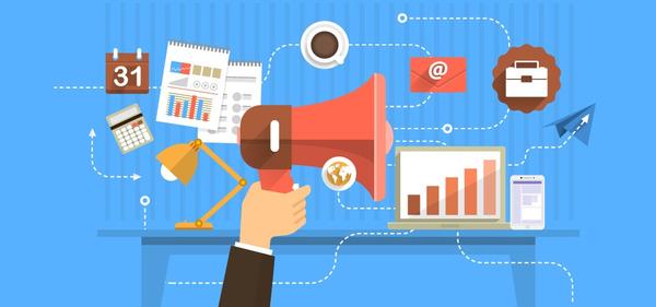 wordpress website support