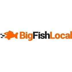 Image of Big Fish Local