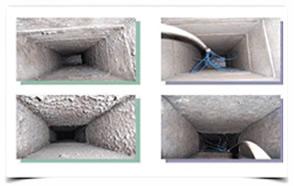 Image of Carpet Cleaning Bellaire TX