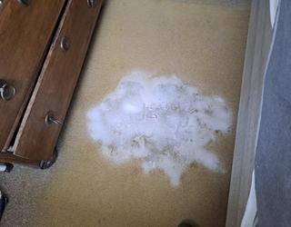 Mijn vraag was: Wat doe ik met deze vlek naast mijn bed.
