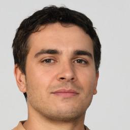 Image of The Dentist Suggest