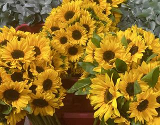 Afbeelding van Dias Florist