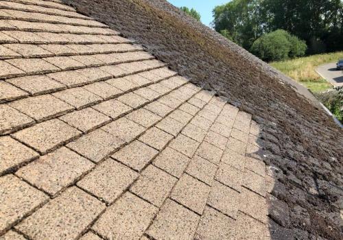 Image of All Pro Cleaning