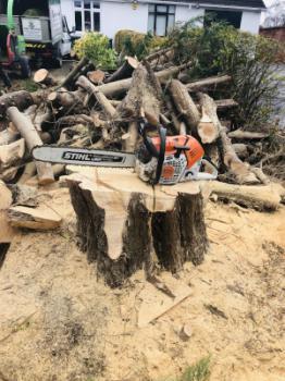 Image of D&B Tree Services