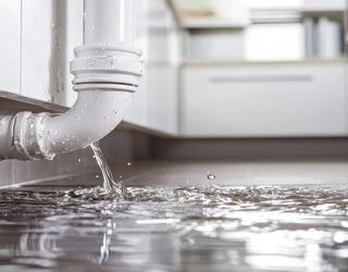 Slika Vodovodar Kranj