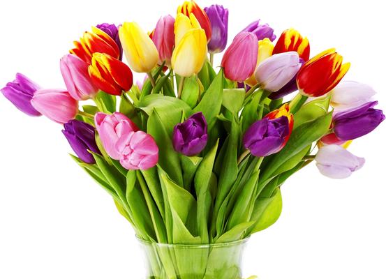 Image of Mr Florist Clapham