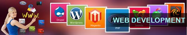 Image of V-Web Development