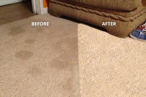 Image of CarpetKings