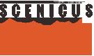 Image of Scenicus Digital Marketing