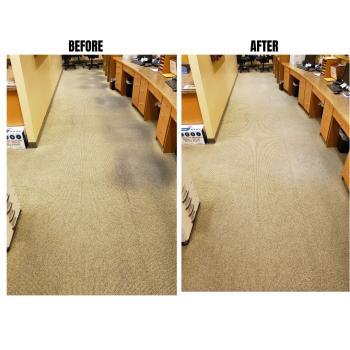 Image of Kelly's Carpet Cleaning and Restoration