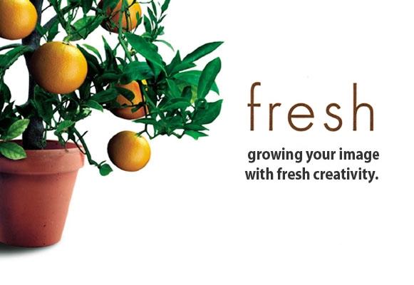 Image de Fresh Traffic Group