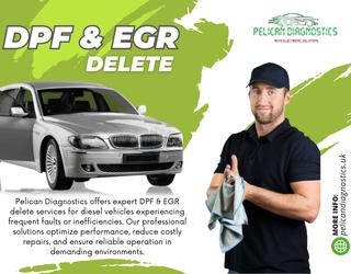 DPF & EGR Delete