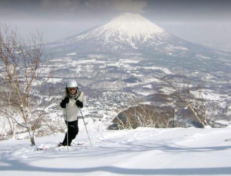 Image of Snowscene Travel