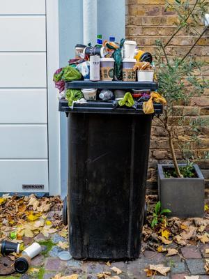 Image de Stone City Junk Removal
