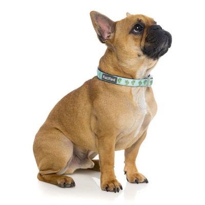 Image of Doggy & Moggie