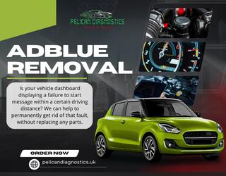 Adblue Removal